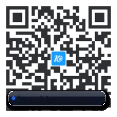 系统版 iOS 二维码